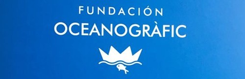 inauguracio-campanya-desde-cuando-no-me-ves